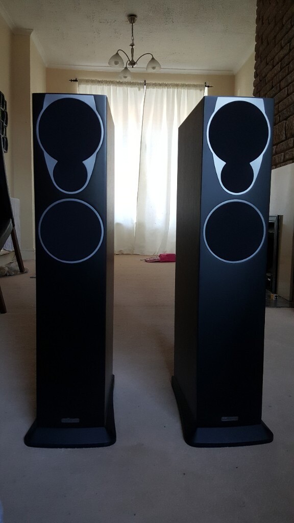 richer sounds speakers floor standing